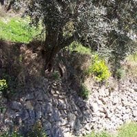 Balate Alpujarra