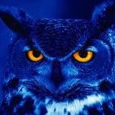 Solitaria Mendez Estrada