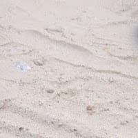 Pilar Orzuna Benitez