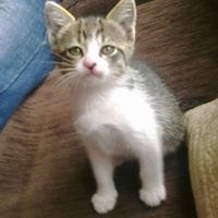 Marisa Loureiro Hermida