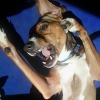 Silvia Rubiera Garcia