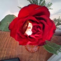 Wendy Maire Alonso Rangel