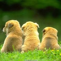 Ana Gabriela Kob Herrera