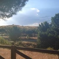 Rafael Jaramillo Caro