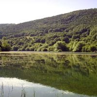 Jose Luis Hernando Carro