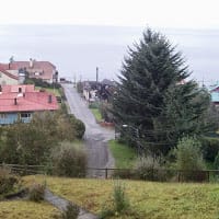 José Rolando Tapia Alvarez