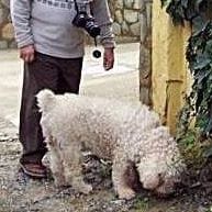 Alberto Carlos Campos Alfaro