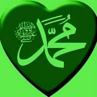 Mohamed Tarek