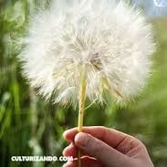 Catherine Ocampo Bedoya