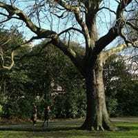 Aurora Montoya Martinez