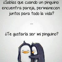 junneth Rojas
