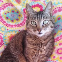 Alicia Maza Rodriguez