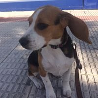 Pepa Seoane Gomez
