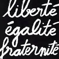 Dorothee Elfring
