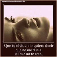 Dianitha Fernandez De Bravo