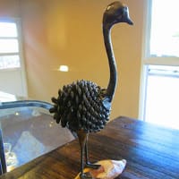 Damian Massacesi