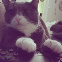 Jhon Sebastian Ibata Rodriguez