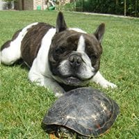 Miguel Garcia Gallardo