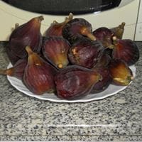 Conchi Cosmo
