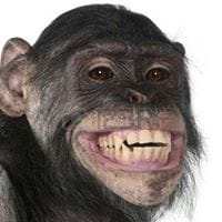 Elmer Full HD