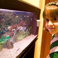 santiago  arrastia escalona