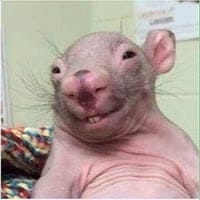 Hugo Leonel Alpuche Espadas