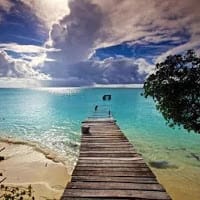 Elizabeth maggiorani