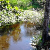 federico alejandro campos