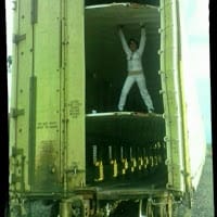 Dolce Landazury Lennon