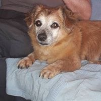 Maria Deissi Luna Llena