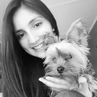 Stephany Saravia Beroiza