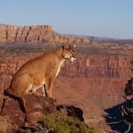 Andres Alejandro Hidalgo Alvarez