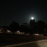 Rawerfox88