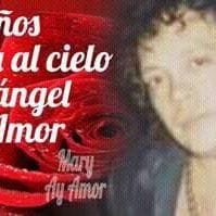 Lib Los Amo
