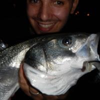 Pesca En Gran Canaria
