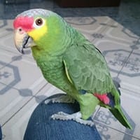 Zunny Alejandra  Hernández Ramos