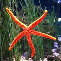 Marta Maria Moreira Rubio