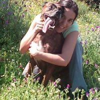 Virginia Serrano Buendia