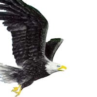 JUAN CARLOS
