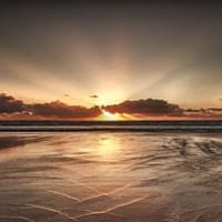 Monica Webster Echanove