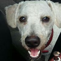 ody de la o de  hernadez