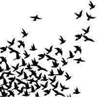 Jose Ignacio Reboreda Santamaría