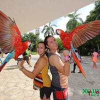 Javier Gonzalez
