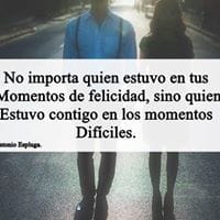 Clavel Flores