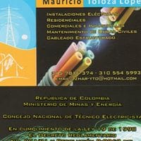 mauricio toloza