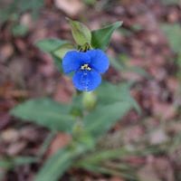 Sergio Alejandro Ramirez Soto