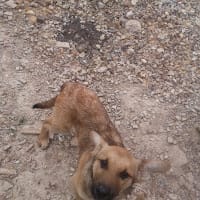 VICTOR JULIO GARCIA GARCIA