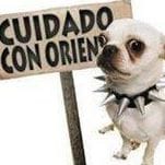 Juan Carlos Tupa Calle