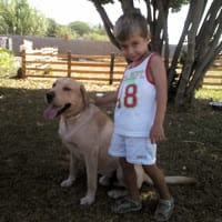 Cuidador De Perros Sevilla