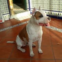 alvaro fernandez polop